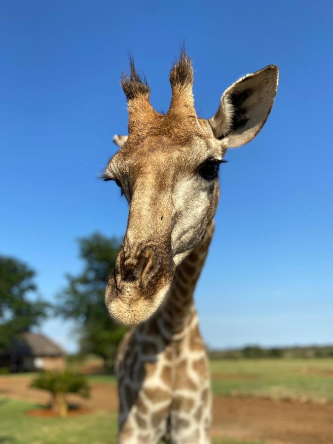 Morakane Safari Lodge Vryburg Екстериор снимка